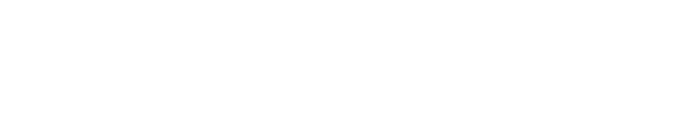 Lavorgomma Logo Bianco